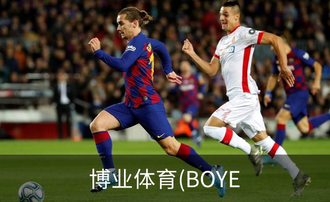关于博业体育(BOYE