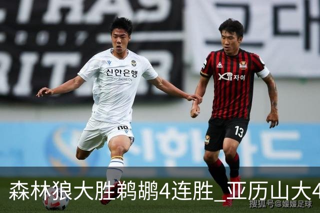 森林狼大胜鹈鹕4连胜 亚历山大43分雷霆克骑士